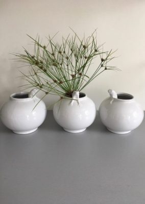 Vase Frog - 1