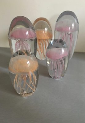 Jellyfish - 4
