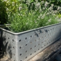 Des plants de lavande poussent dans un conteneur métallique vintage Caisse Industrielle 1960 "Suroy" sur une surface en bois rustique, avec un feuillage vert luxuriant en arrière-plan. Brocante 93