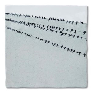 Birds in a Row1