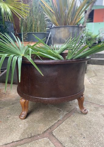 Une jardinière vintage Fût Industriel 1940 marron à feuilles de palmier se dresse sur un patio en pierre, entourée d'autres plantes en arrière-plan. Brocante 93