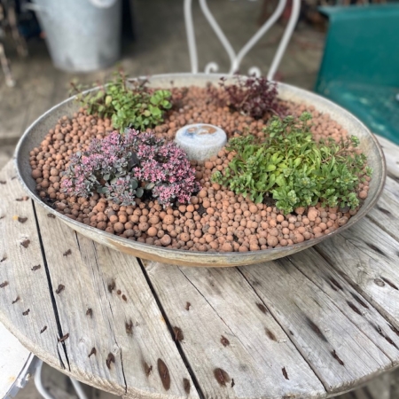 Une table rustique en bois ornée d'une jardinière ronde contenant diverses plantes succulentes et plantes est complétée par le charme vintage d'une chaise en métal antique et la présence unique de la Mangeoire Poules 1960. Brocante 93