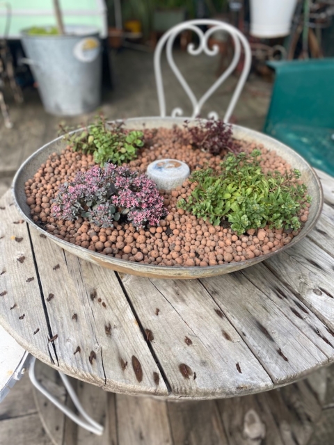 Une table rustique en bois ornée d'une jardinière ronde contenant diverses plantes succulentes et plantes est complétée par le charme vintage d'une chaise en métal antique et la présence unique de la Mangeoire Poules 1960. Brocante 93