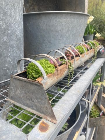 La Jardinière Mangeoire 1960, remplie d'un assortiment de petites plantes vertes et violettes, est élégamment présentée sur une étagère en métal vintage. Brocante 93