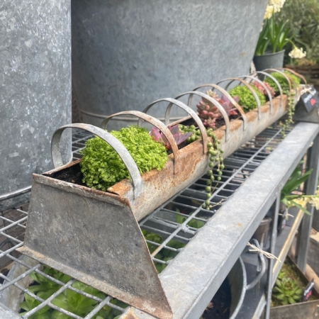 La Jardinière Mangeoire 1960, remplie d'un assortiment de petites plantes vertes et violettes, est élégamment présentée sur une étagère en métal vintage. Brocante 93