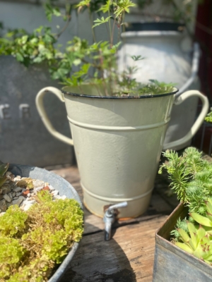 Le Broc à lait émaillé 1960, un seau à eau vintage en métal crème avec bec verseur, est exposé parmi des plantes en pot vertes sur une surface en bois. Brocante 93