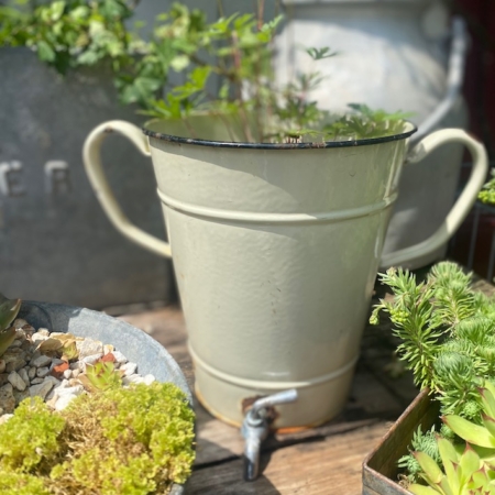 Le Broc à lait émaillé 1960, un seau à eau vintage en métal crème avec bec verseur, est exposé parmi des plantes en pot vertes sur une surface en bois. Brocante 93