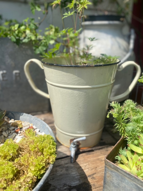 Le Broc à lait émaillé 1960, un seau à eau vintage en métal crème avec bec verseur, est exposé parmi des plantes en pot vertes sur une surface en bois. Brocante 93