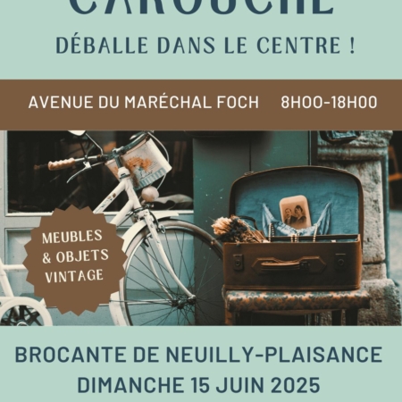 Affiche pour le marché vintage "Carouche déballe !!", avec une illustration de vélo et de chaise, plus les détails de l'événement en français pour le 15 juin 2025. Brocante 93