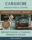 Affiche pour le marché vintage "Carouche déballe !!", avec une illustration de vélo et de chaise, plus les détails de l'événement en français pour le 15 juin 2025. Brocante 93