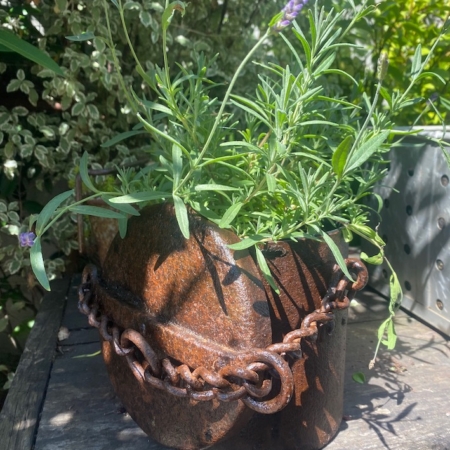 Un récipient en métal rouillé avec une chaîne, utilisé comme plante pour la lavande, est posé à l'extérieur sur une surface en bois. Brocante 93