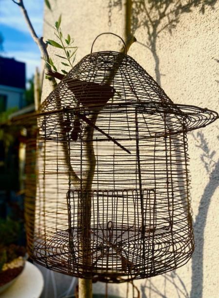 Une Cage déco jardin suspendue à l'extérieur contre un mur ensoleillé, avec une branche à l'intérieur, ce qui ajoute une charmante décoration extérieure à la scène. Brocante 93