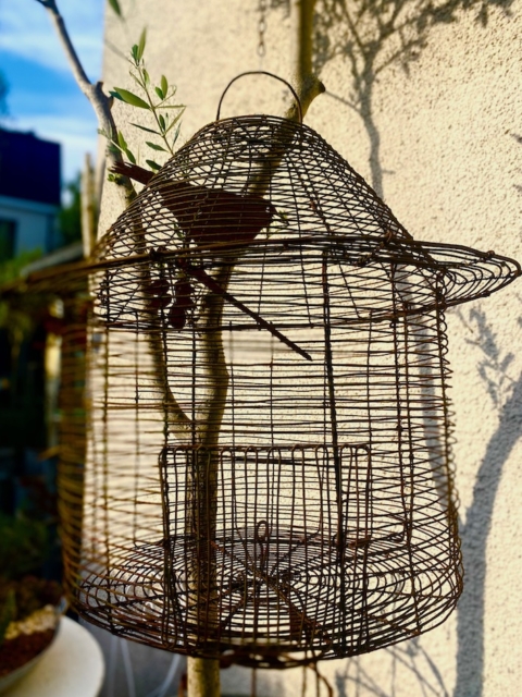 Une Cage déco jardin suspendue à l'extérieur contre un mur ensoleillé, avec une branche à l'intérieur, ce qui ajoute une charmante décoration extérieure à la scène. Brocante 93