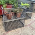 Trois plantes en pot dans des cages métalliques sur un patio en pierre, entourées de verdure et d'un bac en métal, évoquent le charme industriel des Caisses industrielles 1960. Brocante 93