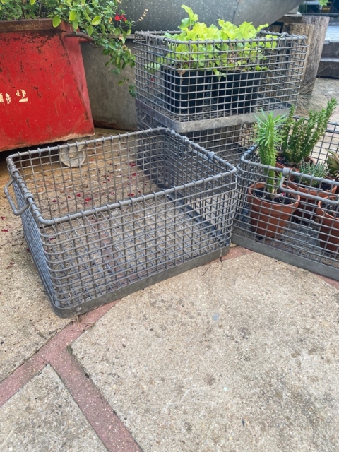 Un panier métallique des Caisses industrielles 1960 et des plantes en pot reposent sur un patio en béton ; le panier vide au premier plan ajoute un charme à la décoration vintage. Brocante 93