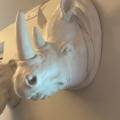 Les Trophées muraux résine, une sculpture de tête de rhinocéros blanc, ajoutent une touche unique et élégante à votre décor lorsqu'ils sont installés sur un mur beige. Brocante 93