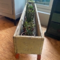 La jardinière Jardinières en bois 1950 accueille de petites plantes grasses et des cactus en pot sur un sol en bois près d'une fenêtre. Brocante 93