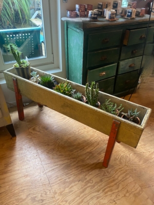 La jardinière Jardinières en bois 1950, remplie de plantes grasses, repose sur des pieds rouges audacieux près d'une fenêtre et d'une commode verte à l'intérieur, apportant une touche de style des années 1950. Brocante 93