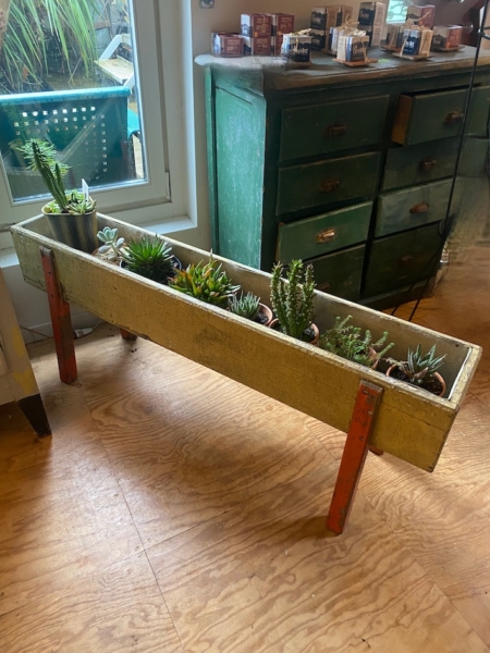 La jardinière Jardinières en bois 1950, remplie de plantes grasses, repose sur des pieds rouges audacieux près d'une fenêtre et d'une commode verte à l'intérieur, apportant une touche de style des années 1950. Brocante 93