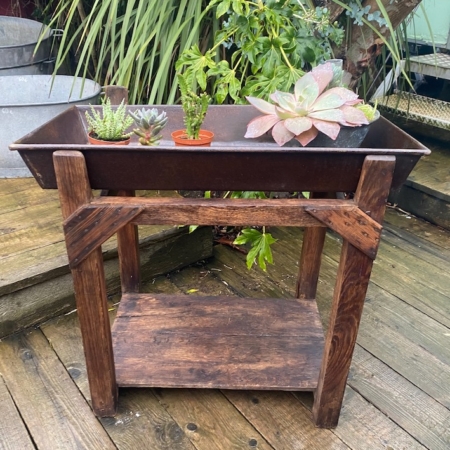 Un support de plantes en bois contient plusieurs petites plantes succulentes en pot sur une terrasse en bois mouillée avec de la verdure en arrière-plan. Brocante 93