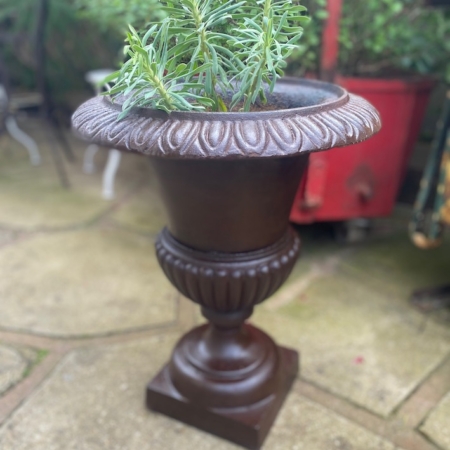 Une plante verte s'épanouit dans une urne Vase Médicis, ajoutant du charme à un patio en pierre à l'extérieur. Brocante 93