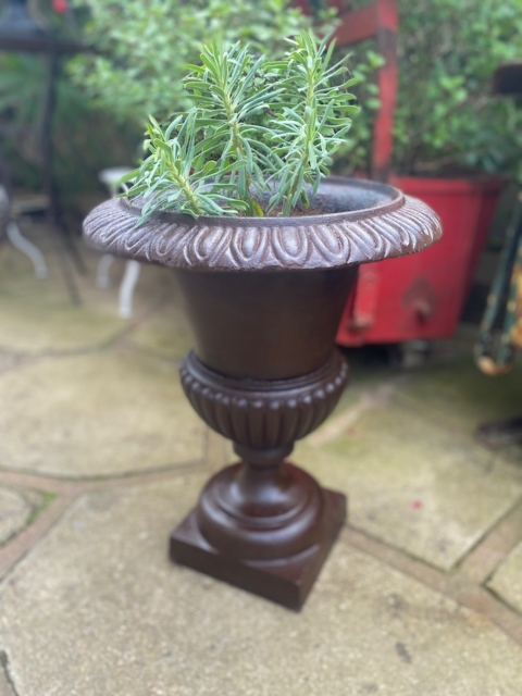 Une plante verte s'épanouit dans une urne Vase Médicis, ajoutant du charme à un patio en pierre à l'extérieur. Brocante 93
