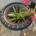 Une paire de vases Médicis XXème siècle, noirs et décoratifs, ornés de feuilles vertes et de fleurs roses, est posée sur un patio en pierre. Brocante 93