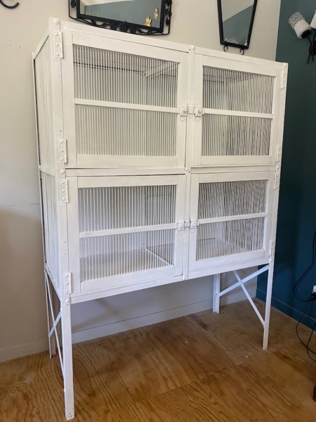 Le garde-manger vintage de 1950, une grande cage à oiseaux en métal blanc à quatre compartiments, se détache sur un mur bleu et blanc, posé sur un sol en bois. Brocante 93