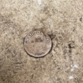 Un disque métallique portant l'inscription « GRANDON ZIREC » repose sur un sol en béton brut, évoquant une ambiance industrielle où l'on pourrait trouver des pièces vintage telles que le lavabo « Vasque en pierre 1960 ». Brocante 93