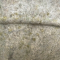 Gros plan sur une surface de pierre patinée et texturée, rehaussée de taches de mousse et de lichen, qui rappelle l’œuvre « Vasque en pierre » de 1960. Brocante 93