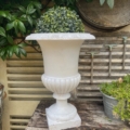 Vase Médicis blanc du XXe siècle, sur lequel repose un arbuste au feuillage luxuriant, posé sur une table en bois, avec en arrière-plan des outils de jardinage et des plantes vertes, créant ainsi une atmosphère d'élégance blanche intemporelle. Brocante 93