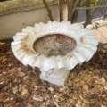 Une vasque Médicis du XXe siècle, d'un blanc patiné par les intempéries et parsemée de traces de rouille, repose sur du paillis au pied d'un arbuste dans le jardin. Brocante 93