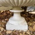 La Vasque Médicis XXe siècle repose sur des copeaux de bois et des feuilles mortes, partiellement à l'ombre dans un jardin en plein air, évoquant le charme d'un paysage du XXe siècle. Brocante 93