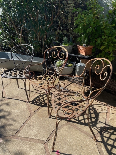 Trois chaises en fer forgé de 1940, richement décorées, trônent sur une terrasse ensoleillée, entourées de plantes verdoyantes et de succulentes en pot, évoquant l'élégance intemporelle du mobilier vintage. Brocante 93