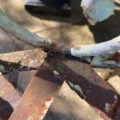Gros plan sur des barres métalliques rouillées et écaillées sous les rayons du soleil, laissant apparaître les traces de corrosion et d'altération par les intempéries — évoquant ainsi le caractère intemporel des « Chaises en fer forgé 1940 ». Brocante 93
