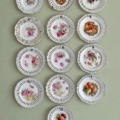 Treize assiettes à dessert vintage de 1950, ornées de motifs floraux et fruités. Brocante 93