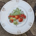 Assiettes plates vintage en céramique blanche des années 1950, ornées de fraises et de groseilles. Brocante 93