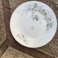 Assiettes plates des années 1950 : une assiette plate en céramique blanche ornée d'un délicat motif floral typique des années 1950. Brocante 93